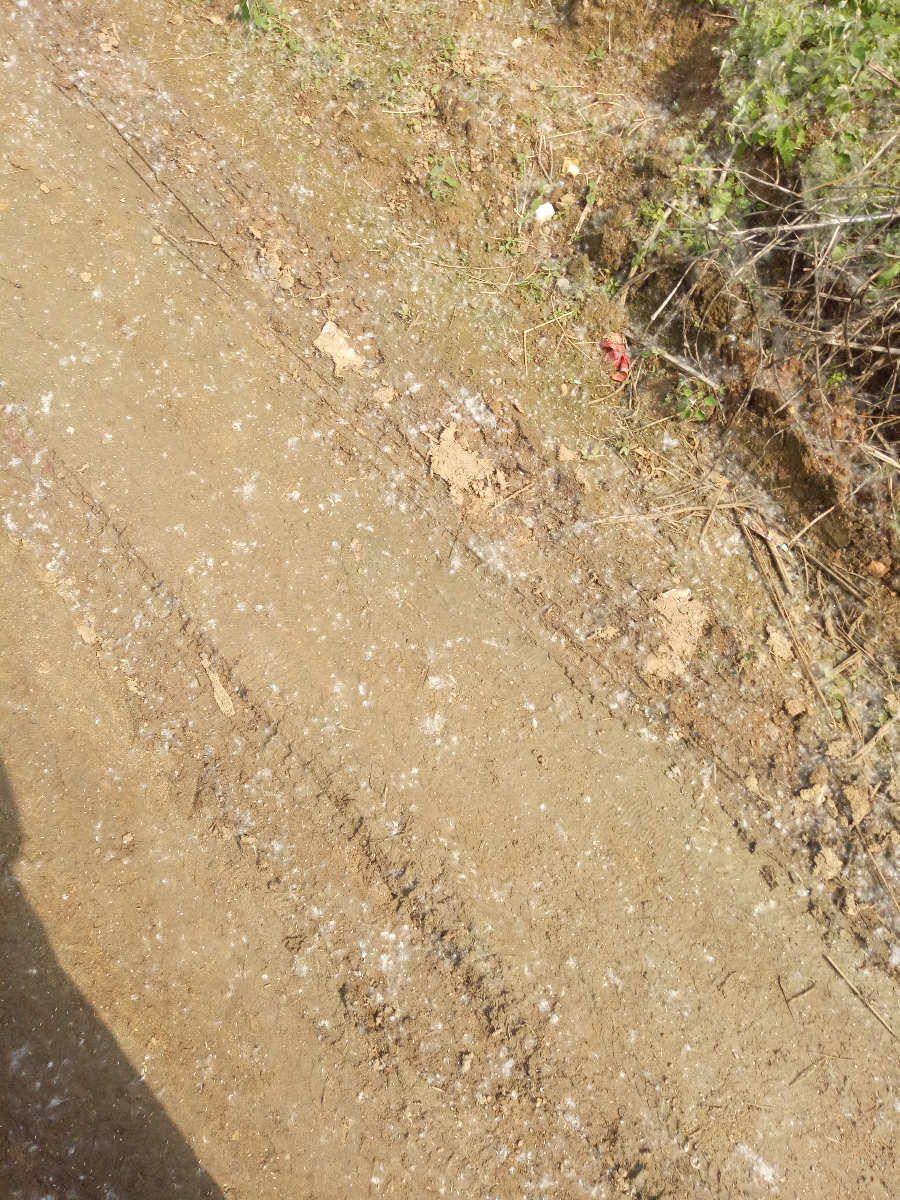 IMG20180513144014.jpg