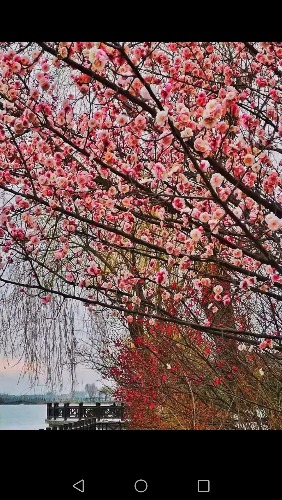 Screenshot_20190310-212258.jpg