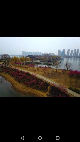 Screenshot_20190310-212226.jpg