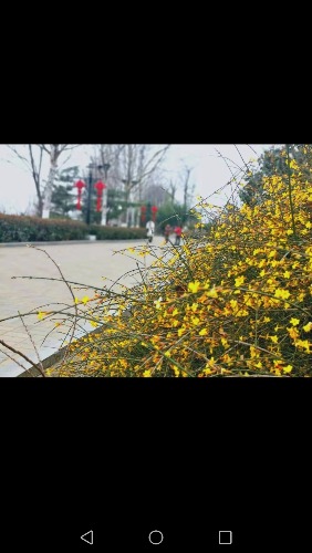 Screenshot_20190310-212210.jpg