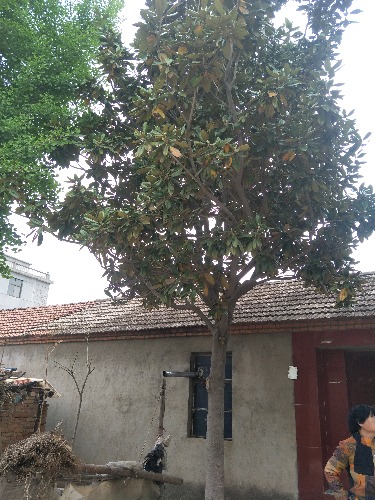 IMG20190421155607.jpg