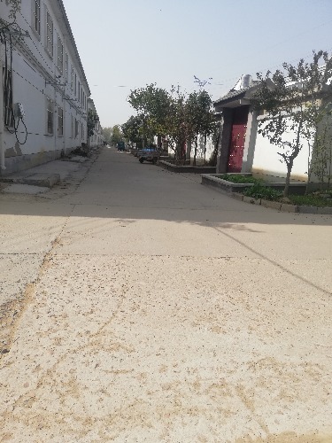 IMG_20191030_124313.jpg