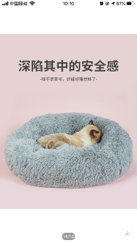 AF381A05-5303-4D23-A191-1CC7A1B1268D.png