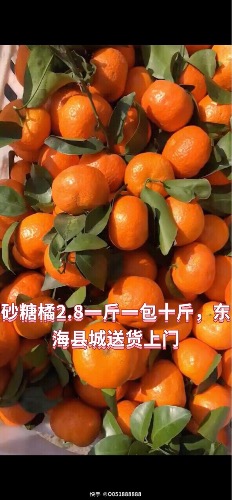 9D7225A8-DA04-4C44-BBFD-07D577A7951E.jpeg