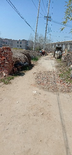 IMG_20200324_120700.jpg
