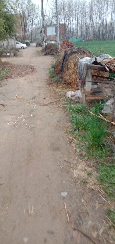 IMG_20200326_174307.jpg
