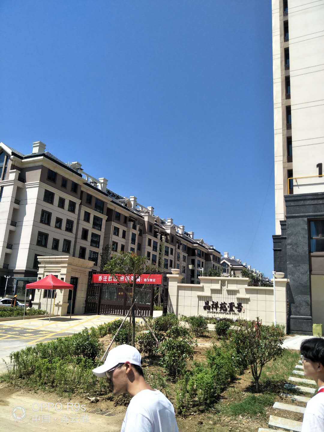 ҵϲ