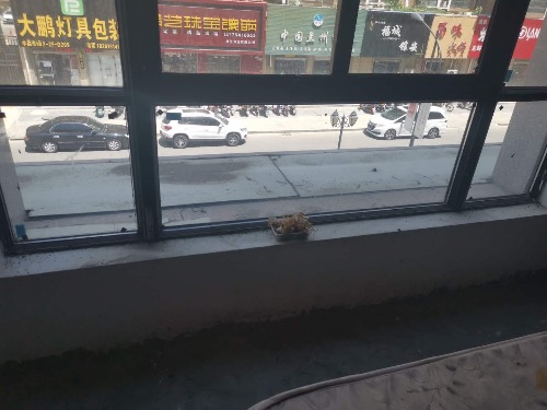 A633BF81-7933-4EE5-B1CF-5A8EDCE81CB3.jpeg