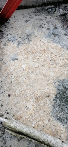 wx_camera_1602488176730.jpg
