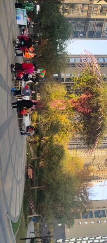 IMG_20201107_160940.jpg