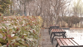 640 (3).gif