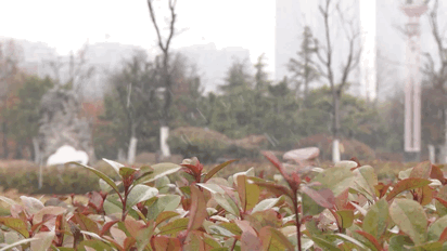640 (6).gif