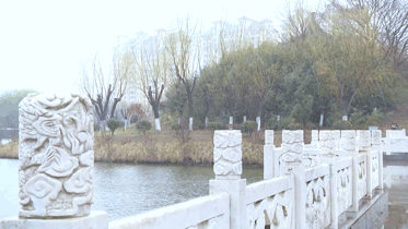 640 (7).gif