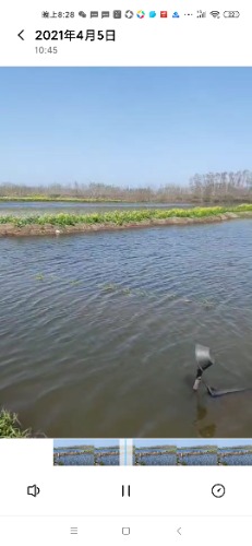 Screenshot_2021-04-23-20-28-03-262_com.miui.video.jpg