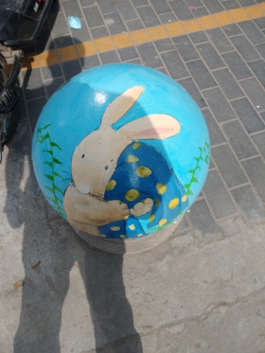 IMG20210524084527.jpg