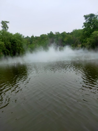 IMG20210503113024.jpg