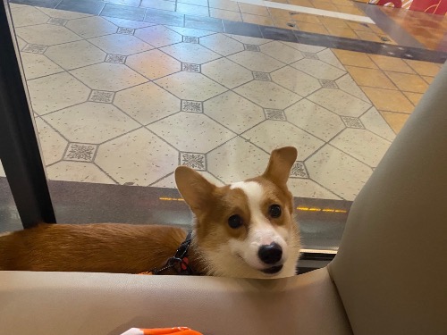 83F0E707-1BDF-4241-B3CB-7D483087502A.jpeg