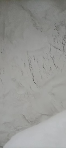C06F1365-5D52-4449-B21C-B9F1915F89D2.jpeg
