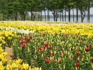 ������ע�⣡����56�죬���������