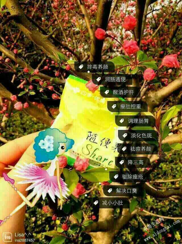 ���������Ŷ����ɼ����ļ����������ı��������